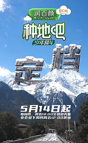 第七码头海报